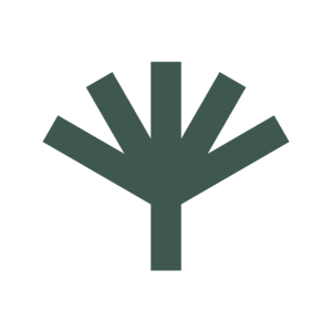 mason-reforestation.pages.dev favicon